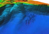 3D View